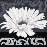 Decor II