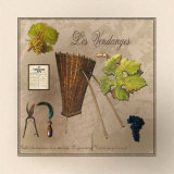 Les Vendanges