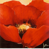 Red Beauty I