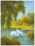 White Symphony I