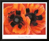 Oriental Poppies  1928