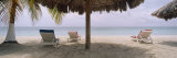 Lounge Chairs on 7-Mile Beach  Negril  Jamaica