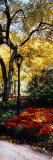 Lamppost in a Park  Central Park  Manhattan  New York City  New York  USA