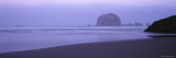 Pacific Ocean  Bandon State Natural Area  Bandon  Oregon  USA