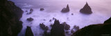 Pacific Ocean  Boardman State Park  Oregon  USA