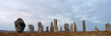 Rocks on a Landscape  Callanish Standing Stones  Lewis  Outer Hebrides  Scotland
