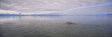 Clouds over the Sea  Frederick Sound  Alaska  USA