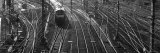 Train on Railroad Track in a Shunting Yard  Germany