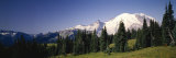 Mt Rainier  Washington  USA