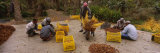 People Working in Park  Tozeur  Tunisia