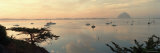 Boats in Morro Bay  California  USA