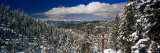 Lake Tahoe  California  USA