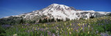 Snowcapped Mountain on a Landscape  Mt Rainier  Mt Rainier National Park  Washington  USA