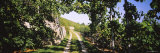 Gravel Road Passing Through Vineyards  Vaihingen an Der Enz  Baden-Wurttemberg  Germany