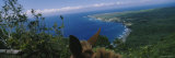 Mule on the Beach  Pacific Ocean  Kalaupapa  Molokai  Hawaii  USA