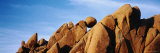 Close-Up of Rocks  Mojave Desert  Joshua Tree National Monument  California  USA