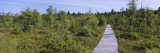 Adirondack State Park  Adirondack Mountains  New York  USA