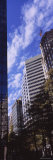 Skyscrapers in Charlotte  North Carolina  USA