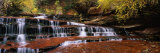 Waterfall in a Forest  North Creek  Zion National Park  Utah  USA