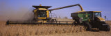 Combine Harvesting Soybeans in a Field  Minnesota  USA