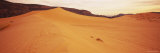 Sand Dunes in a Desert  Coral Pink Sand Dunes State Park  Utah  USA
