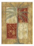 Harlequin Coconut Palm