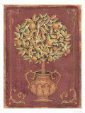 Orange Tree