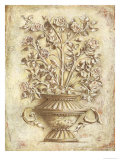 Rose Classico