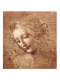 Female Head (La Scapigliata)  c1508