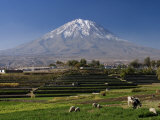 El Misti Volcano and Arequipa Town  Peru