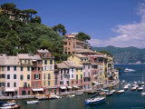 Coastal View  Village and Harbour and Yachts  Portofino  Liguria  Italy
