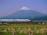 Mount Fuji  Bullet Train and Rice Fields  Fuji  Honshu  Japan