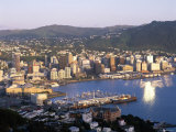 City Skyline and Harbour  Wellington  North Island  New Zealand