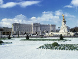 Buckingham Palace  London  England