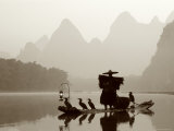 Cormorant Fishermen  Li River  Yangshou  Guilin  Guangxi Province  China