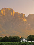 Boschendal Wine Estate  Franschoek  Cape Province  South Africa