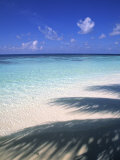 Tropical Beach at Maldives  Indian Ocean