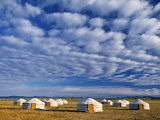 Yurts  Mongolia
