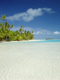 Palm Trees and Tropical Beach  Aitutaki Island  Cook Islands  Polynesia