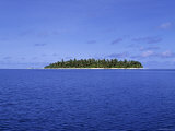 Tropical Beach and Palm Trees  Maldives  Indian Ocean
