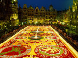 Grand Place  Floral Carpet  Brussels  Belgium