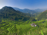 Rice Terraces of Bangaan at Banaue  Luzon Island  Philippines