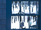 Fish Shack Window  Menemsha  Martha's Vineyard  Massachusetts  USA