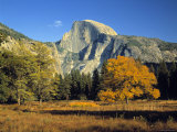 Half Dome  Yosemite Np  California  USA