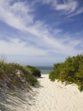 Lambert's Cove Beach  North Tisbury  Martha's Vineyard  Massachusetts  USA
