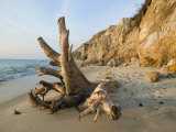 Aquinnah  Gay Head  Martha's Vineyard  Massachusetts  USA
