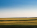Provincelands Marshland  Cape Cod  Massachusetts  USA