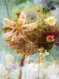Ballet  no 2