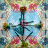 Carnation Cross