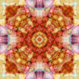 Colseaworld Mandala  no 3